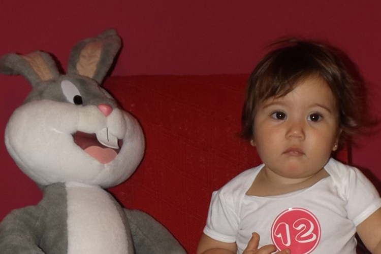 montagem-meses